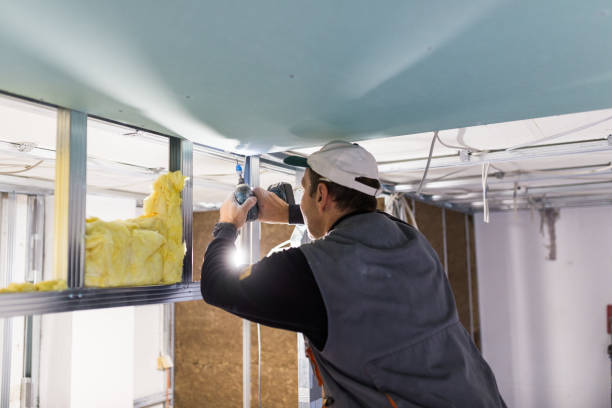 Best Cellulose Insulation in New Orleans Station, LA